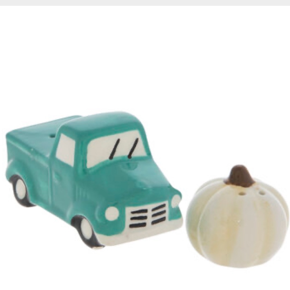 NWT Salt and Pepper Shaker